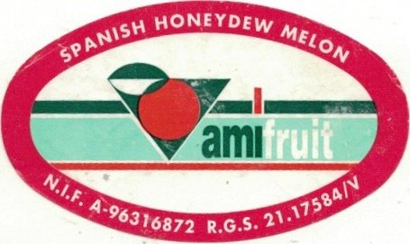 Amifruit spanish honeydew melon