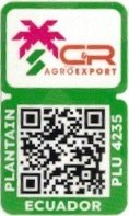 C & R agroexport plantain plu 4235 ecuador