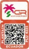C & R agroexport plantain plu 4235 ecuador