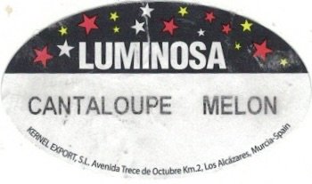 Luminosa cantaloupe melon kernel export murcia spain