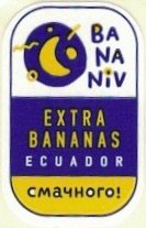 Ba Na Niv extra bananas ecuador