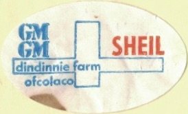 GM sheil dindinnie farm ofcolaco