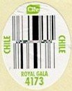 Clee chile royal gala 4173