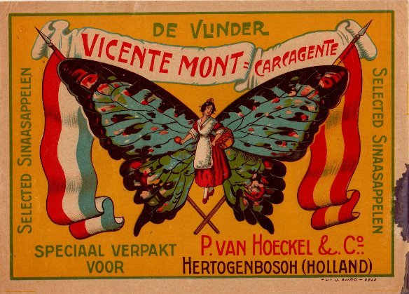 De vlinder vicente mont carcagente speciaal verpakt p. van hoeckel & c hertogenbosoh holland selected sinaasappelen