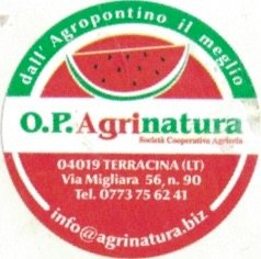O.P. Agrinatura societa cooperative agricole dall agropotino il meglio