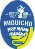 Miguicho 1958 est. premium banana ecuador from the best productive and sustainable fields of ecuador