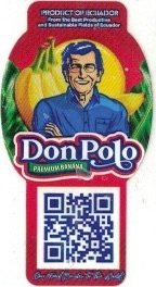 Don Polo product of ecuador from the best productive and sustainable fields of ecuador premium banana