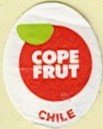 cope frut chile