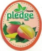 Pledge Trade