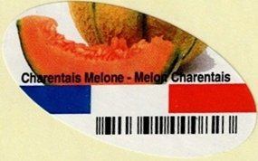 Charentais melone - melon charentais