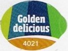 golden delicious 4021