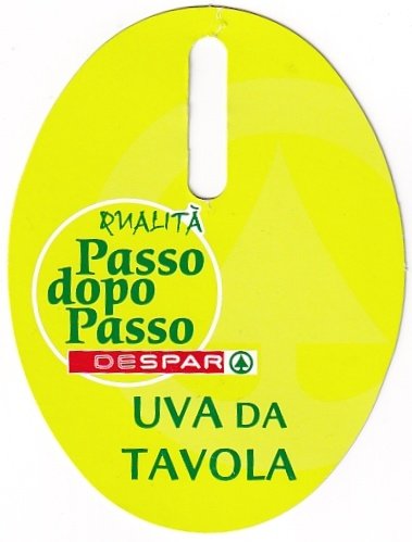 Rualita passo dopo passo de spar uva di tavola