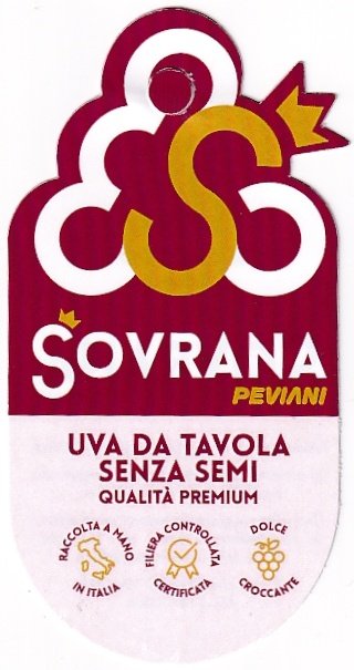 Sovrana peviani uva da tavola senza semi