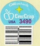 Cmi orchards ever crisp usa 3490