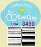 Cmi orchards ever crisp usa 3490