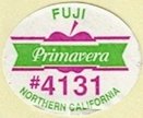 Primavera fuji #4131 northern california