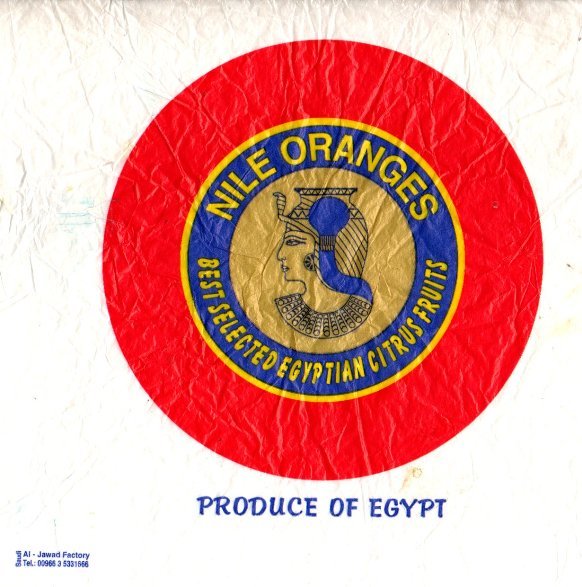 Nile oranges best selected egyptian citrus fruits produce of egypt