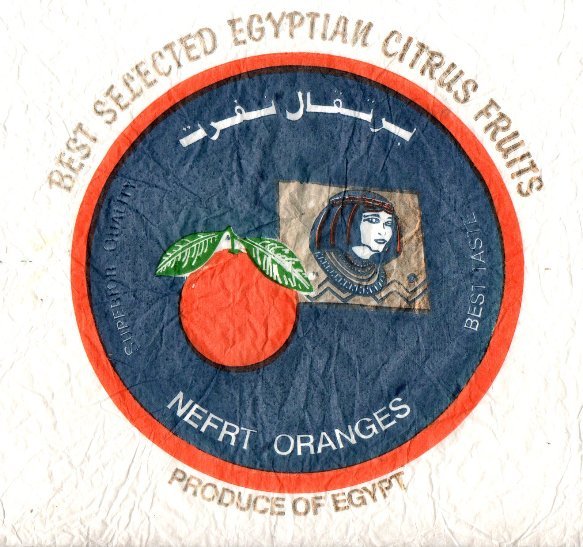 Nefrt oranges superior quality best taste best selected egyptian citrus fruits produce of egypt