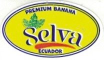 Selva premium banana ecuador