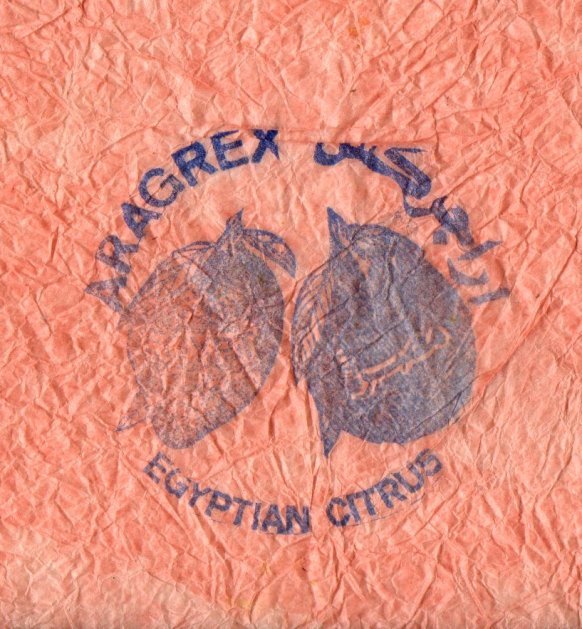 Aragrex egypt egyptian citrus