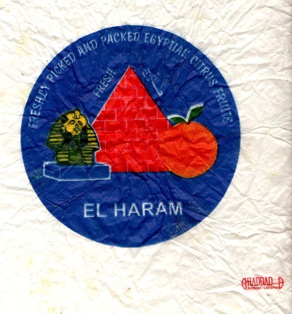 el haram freshly picked and packed egyptian citrus fruits