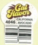 Cal Flavor california 4046 avocado