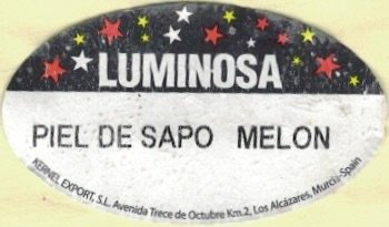 Luminosa piel de sapo melon kernel export s.l. murcia spain