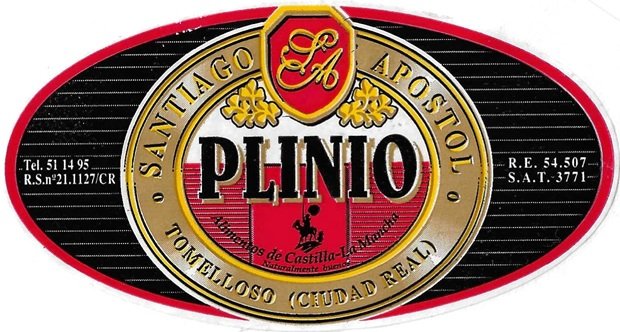 plinio santiago apostol tomelloso ciudad real