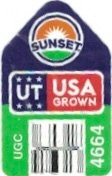 Sunset ut usa grown ugc 4664