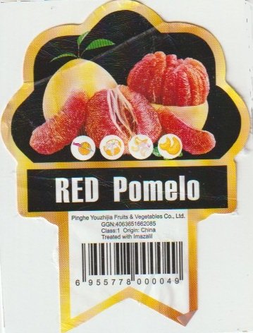 Pinghe youzhijia fruit & vegetables co. ltd. red pomelo 6955778000049
