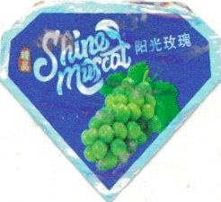 Shine Muscat