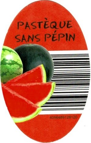 pasteque sans pepin 4056489128120