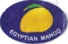 egyptian mango