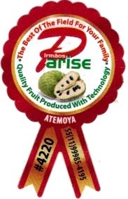 parise irmaos  the best of the field for your family atemoya #4220