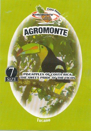 Agromonte 7 size gold pineapple extra sweet agromonte pineapples of costa rica the sweet pride of the ticos tucano 7443005940040
