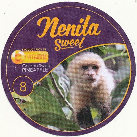 Nenita sweet product rich in c vitamin golden sweet pineapple 8 7443033890195
