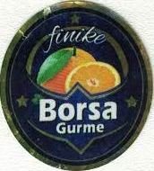 Borsa gurme finike