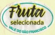 Fruta selecionada vale do sao francisco