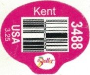 Bella kent peru 3.35 3488