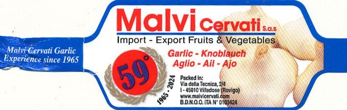 malvi cervati import export fruits & vegetables villadose rovigo www.malvicervati.com aglio knoblauch garlic ail ajo 59
