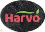 Harvo