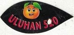 Uluhan 520