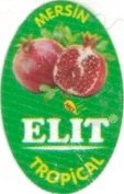 Elit mersin tropical