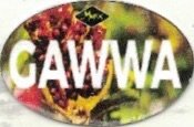 Gawwa maroc