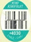 kiwi kiwifruit #4030 chile chili