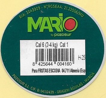 Mario by pozosur cal 6 (2-4 kg) h 25 8425644004160 para frutas escodia almeria (esp)