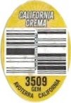 California Crema 3509 gem avoterra california