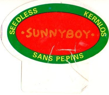 Sunnyboy seedless kernlos sans pepin