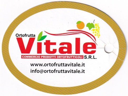 Vitale ortofrutta commercio prodotti ortofrutticoli s r l  www.ortofruttavitale.it