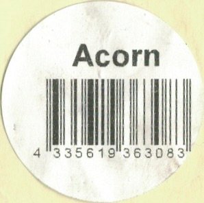 acorn 4335619363083